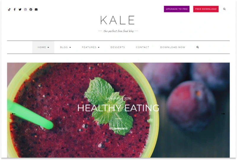 kale wordpress magazine theme free