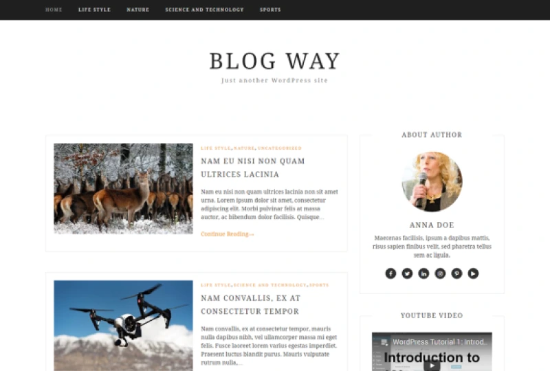 blog way wordpress magazine themes free