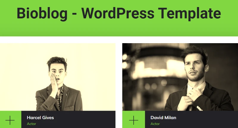 Best Biography WordPress Theme